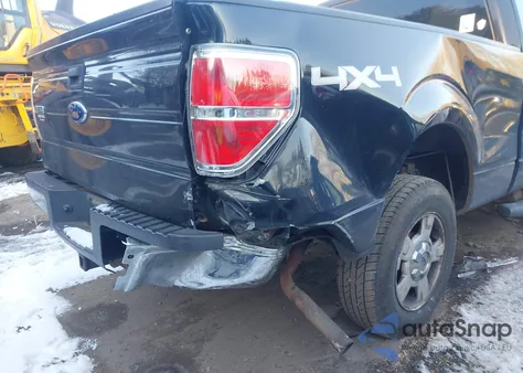 2010 Ford F-150 Stx/Xl/Xlt z USA, uszkodzony, nr VIN 1FTEX1E83AFB45084